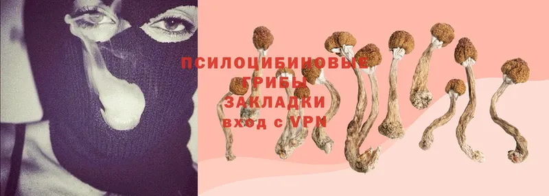 Псилоцибиновые грибы Magic Shrooms  Миллерово 